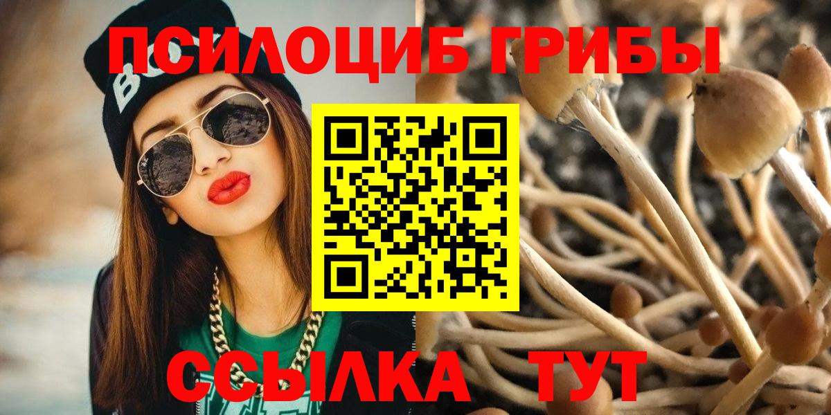 Псилоцибиновые грибы GOLDEN TEACHER  Вход с VPN  Вышний Волочёк 