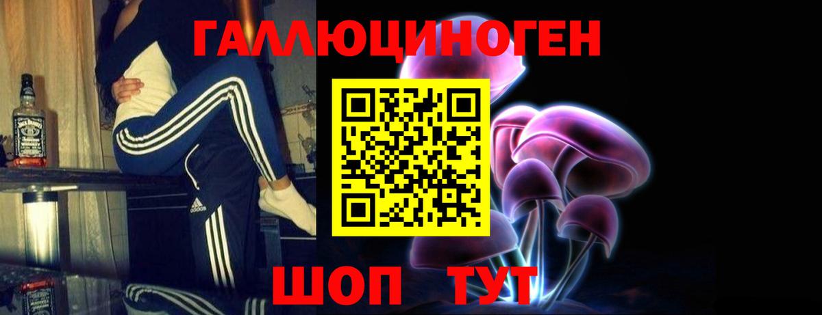 Галлюциногенные грибы Psilocybe Вышний Волочёк